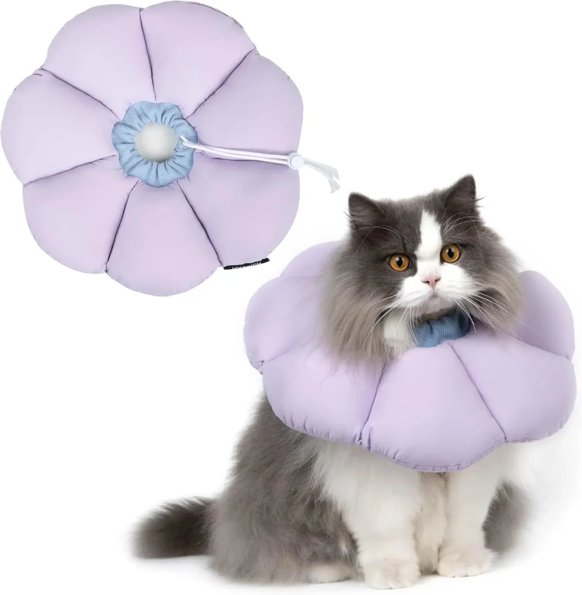 Cat Recovery Cone Collar – Waterproof Anti-Bite Elizabethan Collar for Wound Healing - Image 2