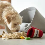 Ramen Noodle Dog Toy - Image 5