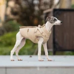 Dog Puffer Jacket - Image 3