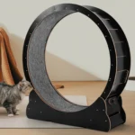 Large Indoor Running Treadmill for Cats - Image 2