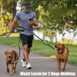 Hands-Free Dual Dog Leash – Crossbody & Waist Leash for Medium & Large Dogs - Image 2