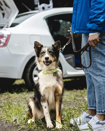 pexels-magaly-taboada-1529426891-33308750